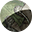 True Timber Camo/green
